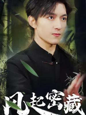 短剧《风起密藏》海报