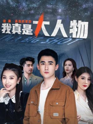 短剧我真是大人物海报