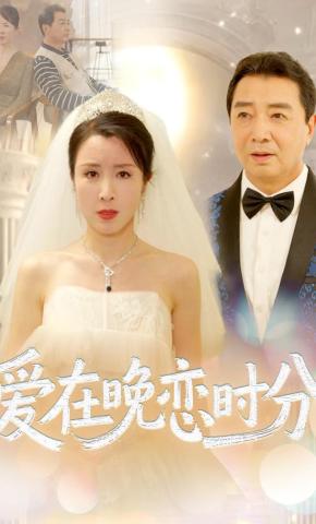 短剧爱在晚恋时分海报