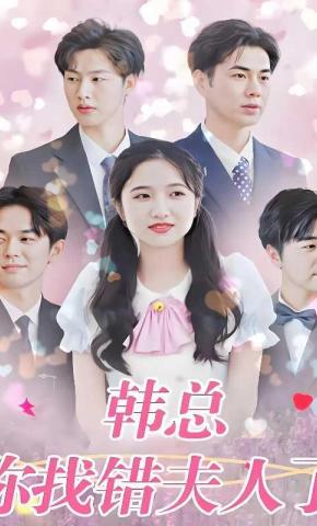 短剧韩总，你找错夫人了海报