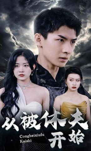 短剧从被休夫开始海报