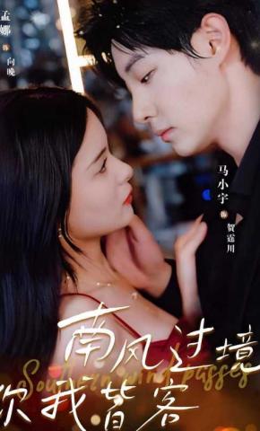 短剧《南风过境你我皆客》海报