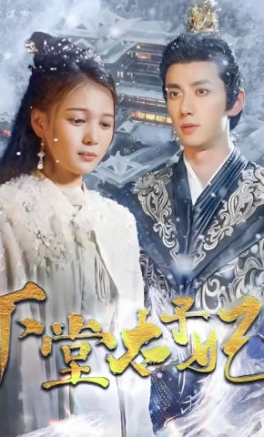 短剧《下堂太子妃》海报