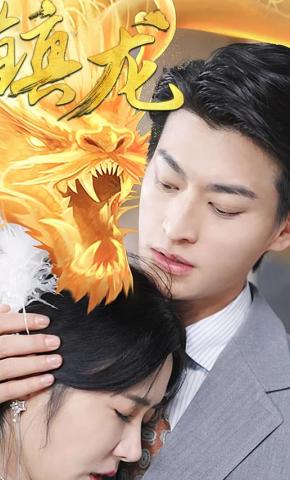 短剧《镇龙》海报