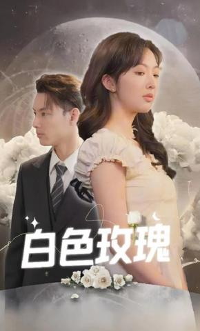 短剧白色玫瑰海报