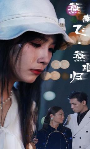 短剧《燕南飞，燕难归》海报