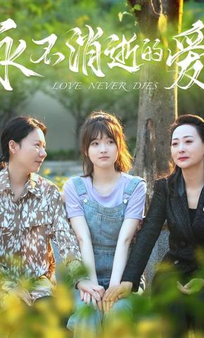 短剧永不消逝的爱海报