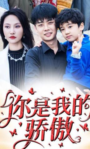 短剧《你是我的骄傲》海报