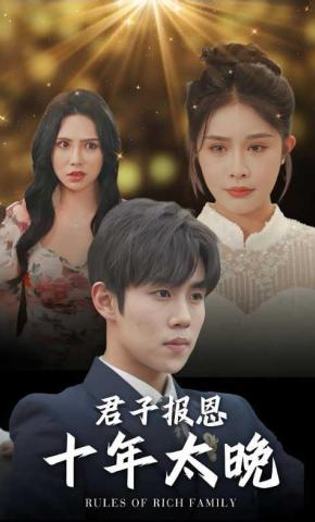 短剧君子报恩十年太晚海报