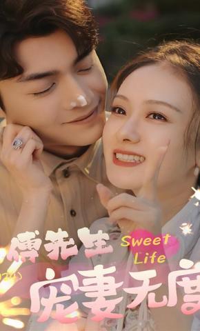 短剧《傅先生宠妻无度》海报