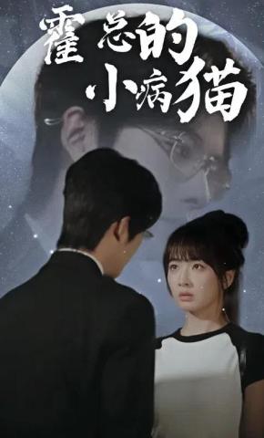 短剧《霍总的小病猫》海报