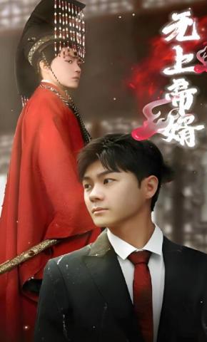 短剧无上帝婿海报