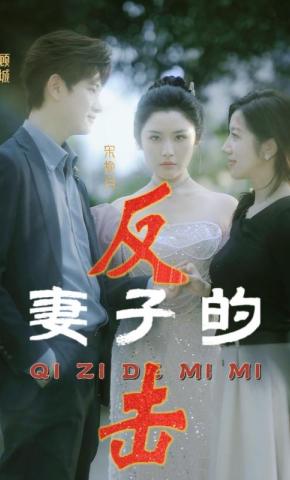 短剧《妻子的反击》海报