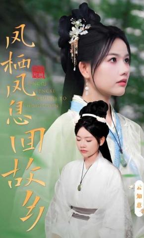 短剧《凤栖凤息回故乡》海报