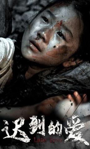 短剧《迟到的爱》海报