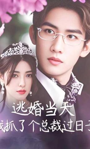 短剧逃婚当天我抓了个总裁过日子海报