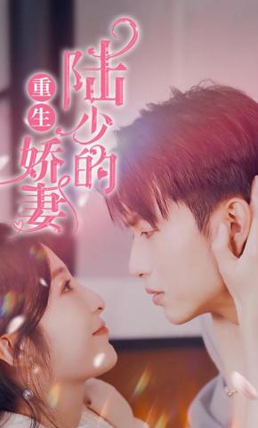 短剧陆少的重生娇妻海报