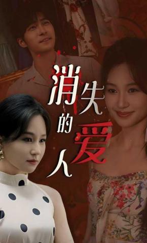 短剧消失的爱人海报