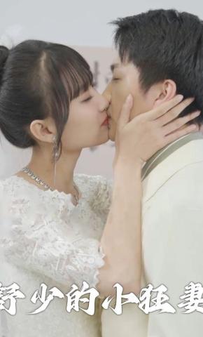 短剧舒少的小狂妻海报