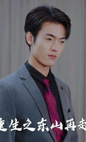 短剧重生之东山再起海报