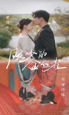 短剧《顾少的金丝雀》海报