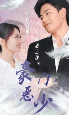 短剧豪门恶少海报