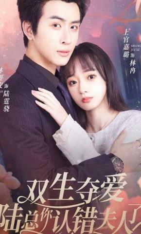 短剧《双生夺爱陆总你认错夫人了》海报