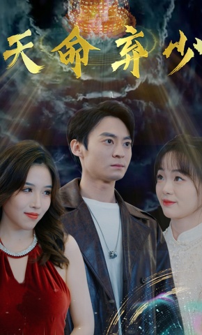 短剧天命弃少海报