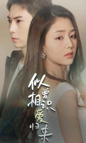 短剧似曾相识爱归来海报