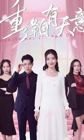 短剧重逢自有天意海报