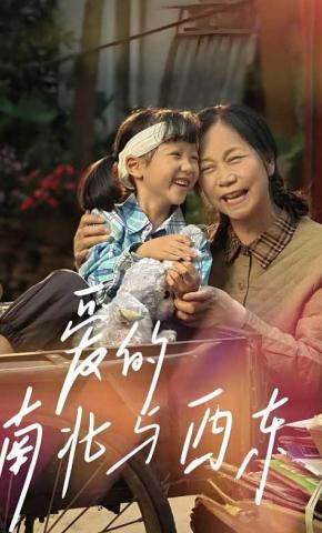 短剧爱的南北与西东海报