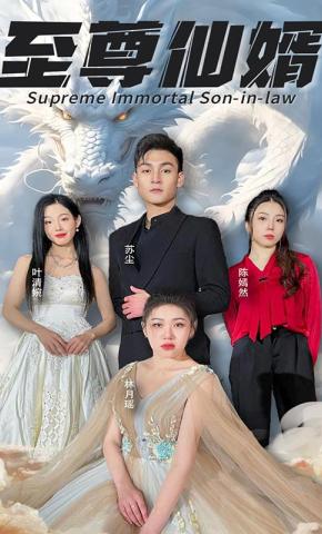 短剧至尊仙婿海报