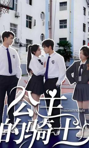 短剧《公主的骑士》海报