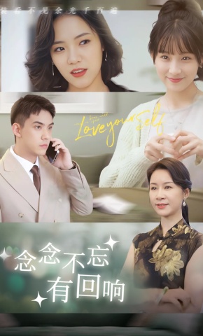短剧念念不忘有回响海报