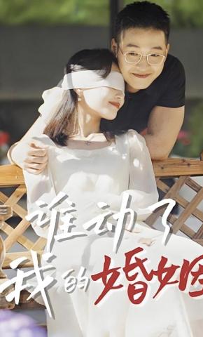 短剧谁动了我的婚姻海报