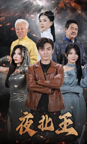 短剧《夜北王》海报