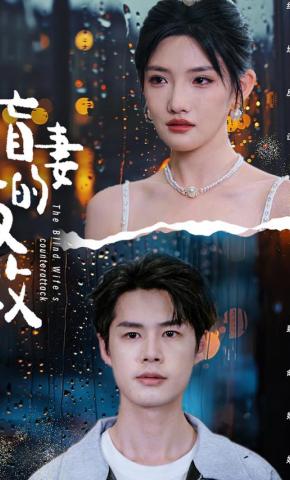 短剧盲妻的反攻海报