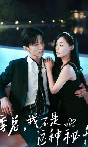 短剧季总，我不是这种秘书海报