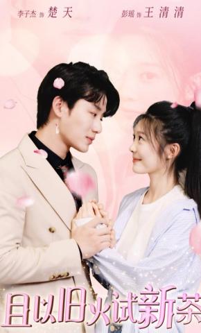 短剧《且以旧火试新茶》海报
