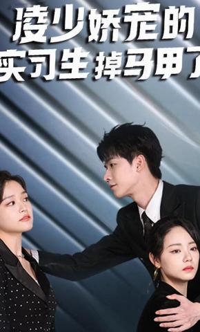 短剧凌少娇宠的实习生掉马甲了海报