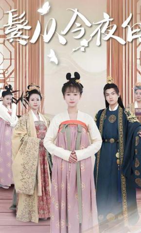 短剧鬓从今夜白海报