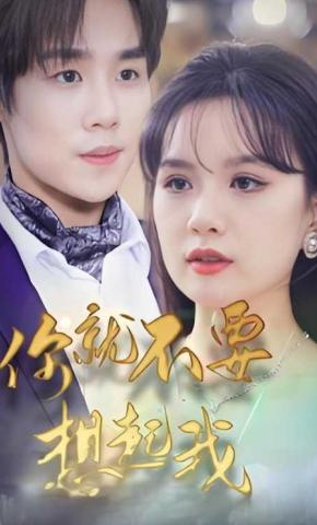 短剧你就不要想起我海报