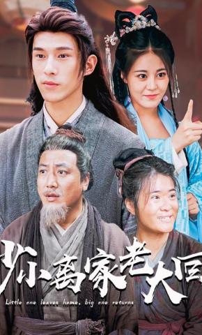 短剧少小离家老大回海报