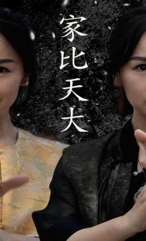 短剧家比天大海报