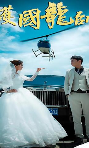 短剧护国龙帅海报