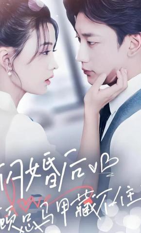 短剧《闪婚后，顾总马甲藏不住了》海报