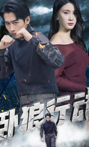 短剧《卧狼行动》海报