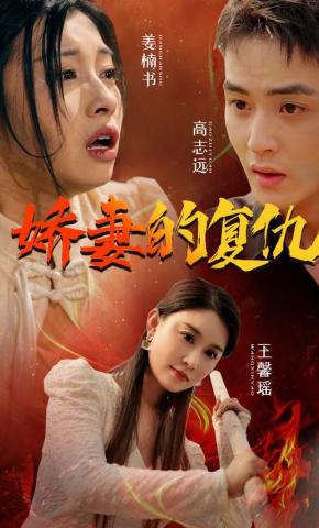 短剧母爱救赎之路海报