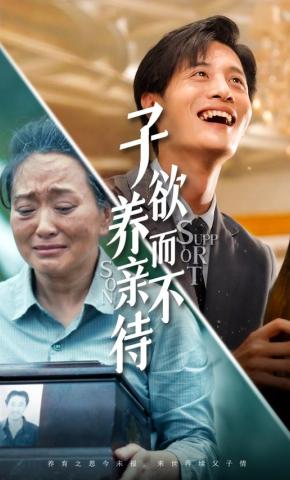 短剧子欲养而亲不待海报