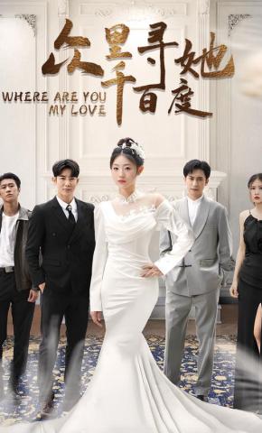 短剧众里寻她千百度海报